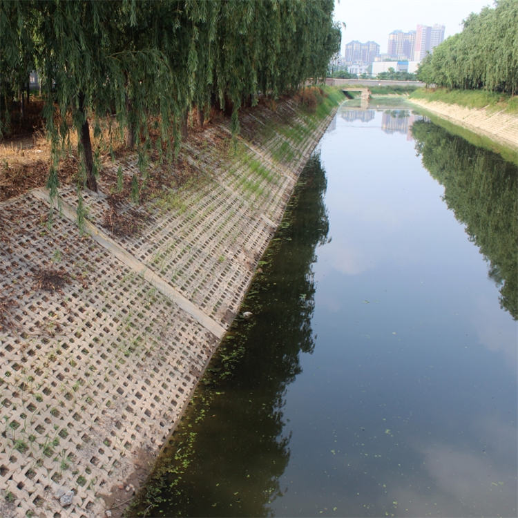 护坡砖35