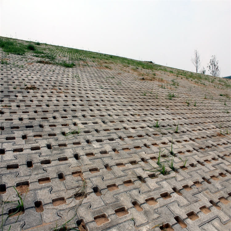 护坡砖40